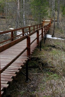 Ahşap zemin kaplaması forest.4 içinde bir yol