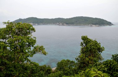 Dağların güzel koy bir görünüm.