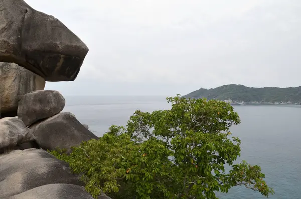 Dağların güzel koy bir görünüm.
