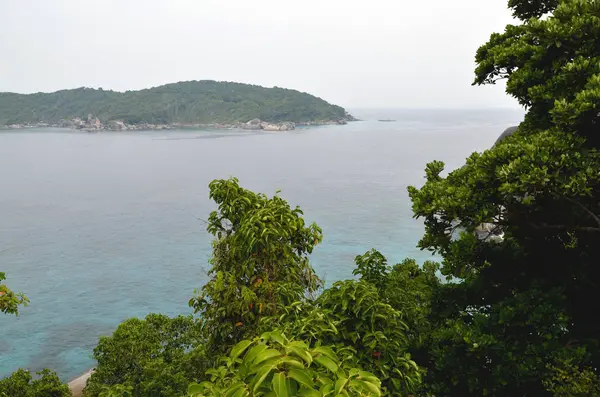 Dağların güzel koy bir görünüm.