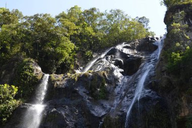 Dağda derin orman şelale.