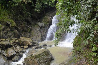 Dağda derin orman şelale.