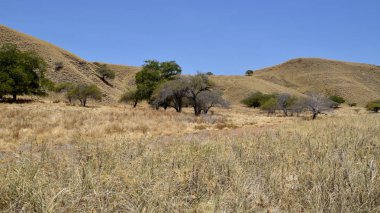 Bozkır tepelerde kuru bitki örtüsü ile kaplı.