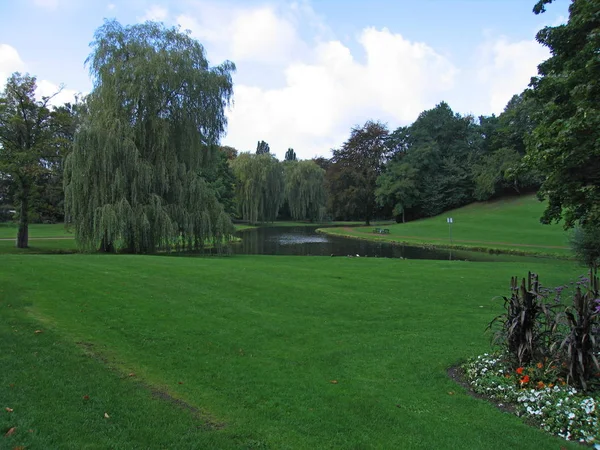 Stora willow på banken av dammen i parken. — Stockfoto