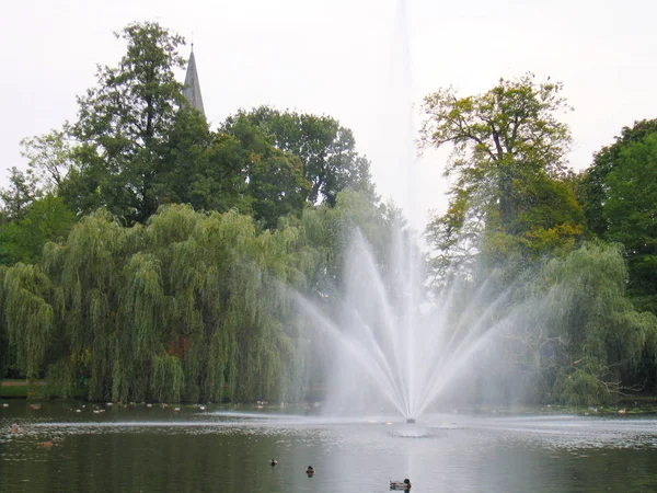 Haute fontaine dans le parc, au milieu de l'étang . — Photo