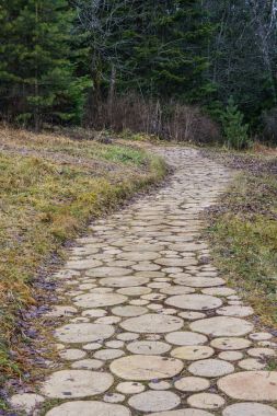 Ormandaki faux döşeme izlemek.