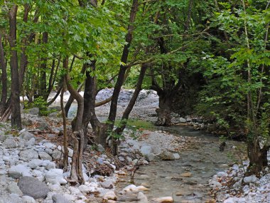 dağ nehir ve orman.