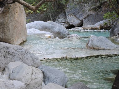 dağ nehir ve orman.