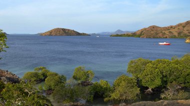 Bay ortasında bir ada. 