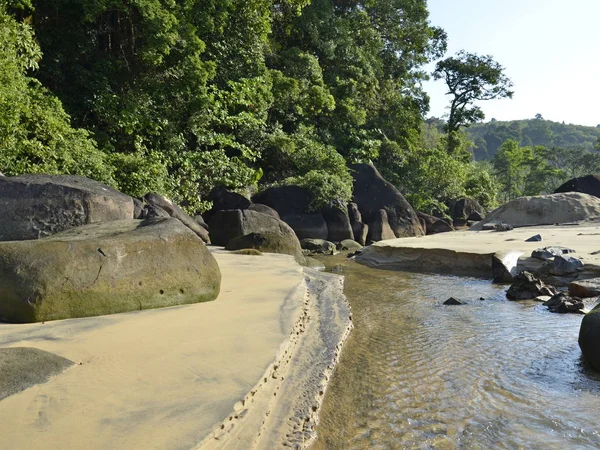 Playa de arena y río que fluyen fuera de la selva . —  Fotos de Stock