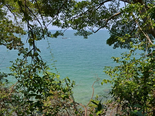 Vista de la bahía del mar a través de los arbustos . — Foto de Stock