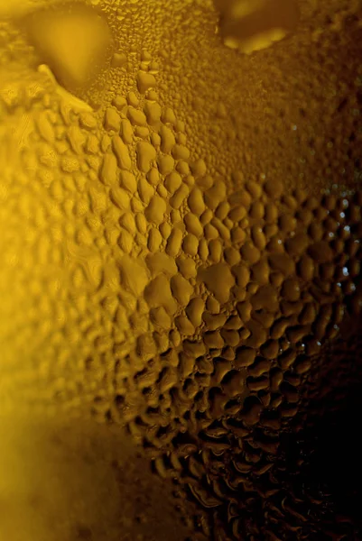  soğuk bir bira bardağı