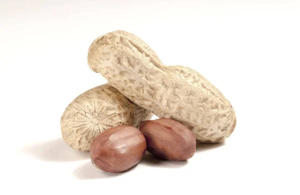 Cacahuètes séchées en gros plan — Photo