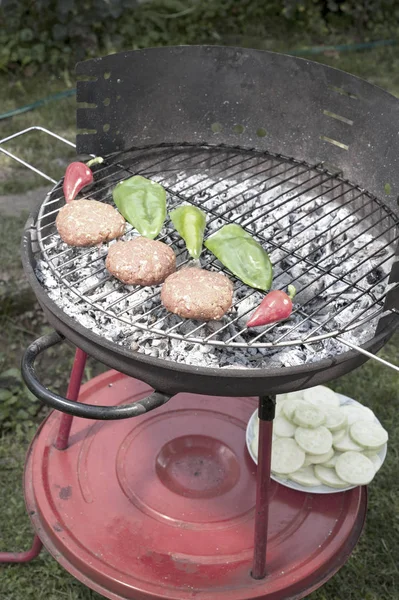 Asar la carne marinada en una parrilla de carbón —  Fotos de Stock