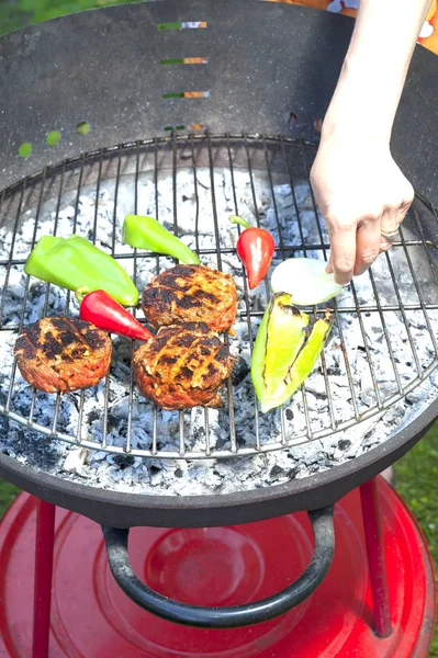 Asar la carne marinada en una parrilla de carbón —  Fotos de Stock