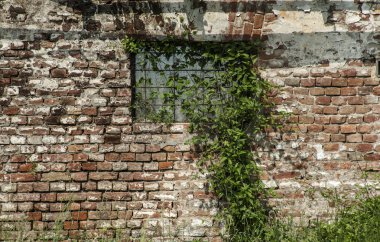 Tuğla duvar arkaplanı