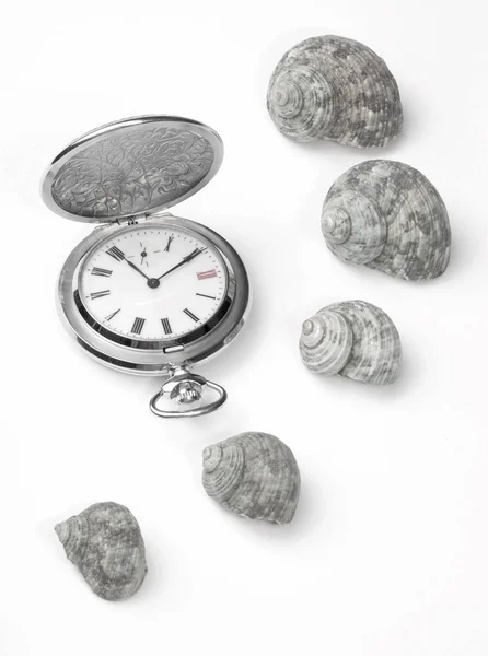 Концепція часу. Стильний кишеньковий годинник — стокове фото