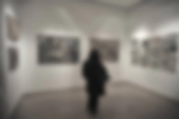 Art exhibition gallery generic background with an intentional blur effect applied. Humans and locations not recognizable.