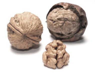 Beyaz arkaplanda izole edilmiş cevizler