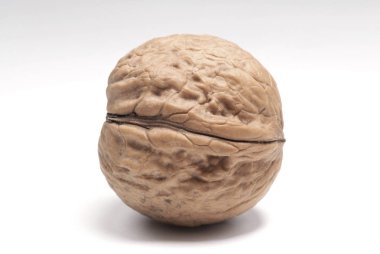 Beyaz arkaplanda izole edilmiş cevizler