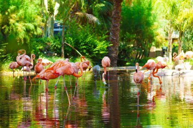 Spain, Zoologic Parc De Barcelona