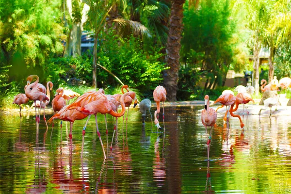 Spain, Zoologic Parc De Barcelona
