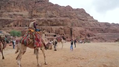 Petra Kanyon Bedevi deve rider