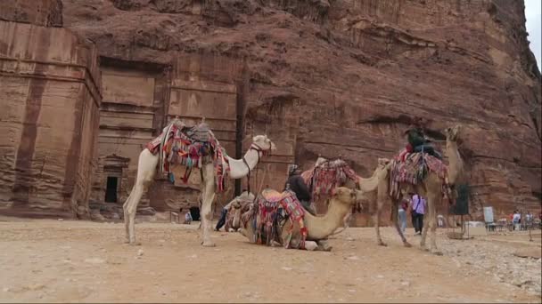 在峡谷的佩特拉的贝都因人骆驼骑手 — 图库视频影像
