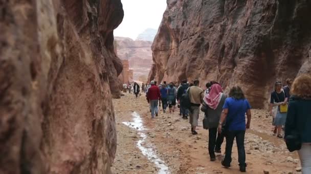Petra büyük kanyon boyunca yürüyüş turist — Stok video