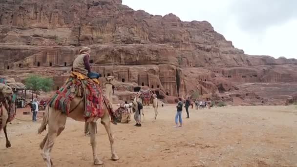 Bedouin camel rider in de canyon van Petra — Stockvideo