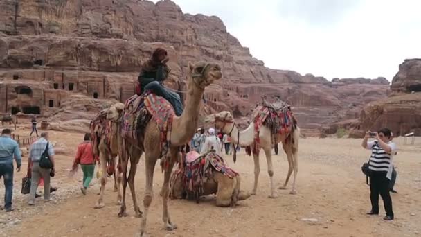 Bedouin camel rider in de canyon van Petra — Stockvideo