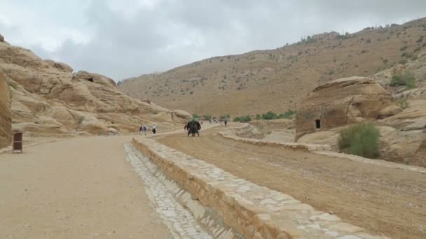 Beduin transport i siq passage till petra city — Stockvideo