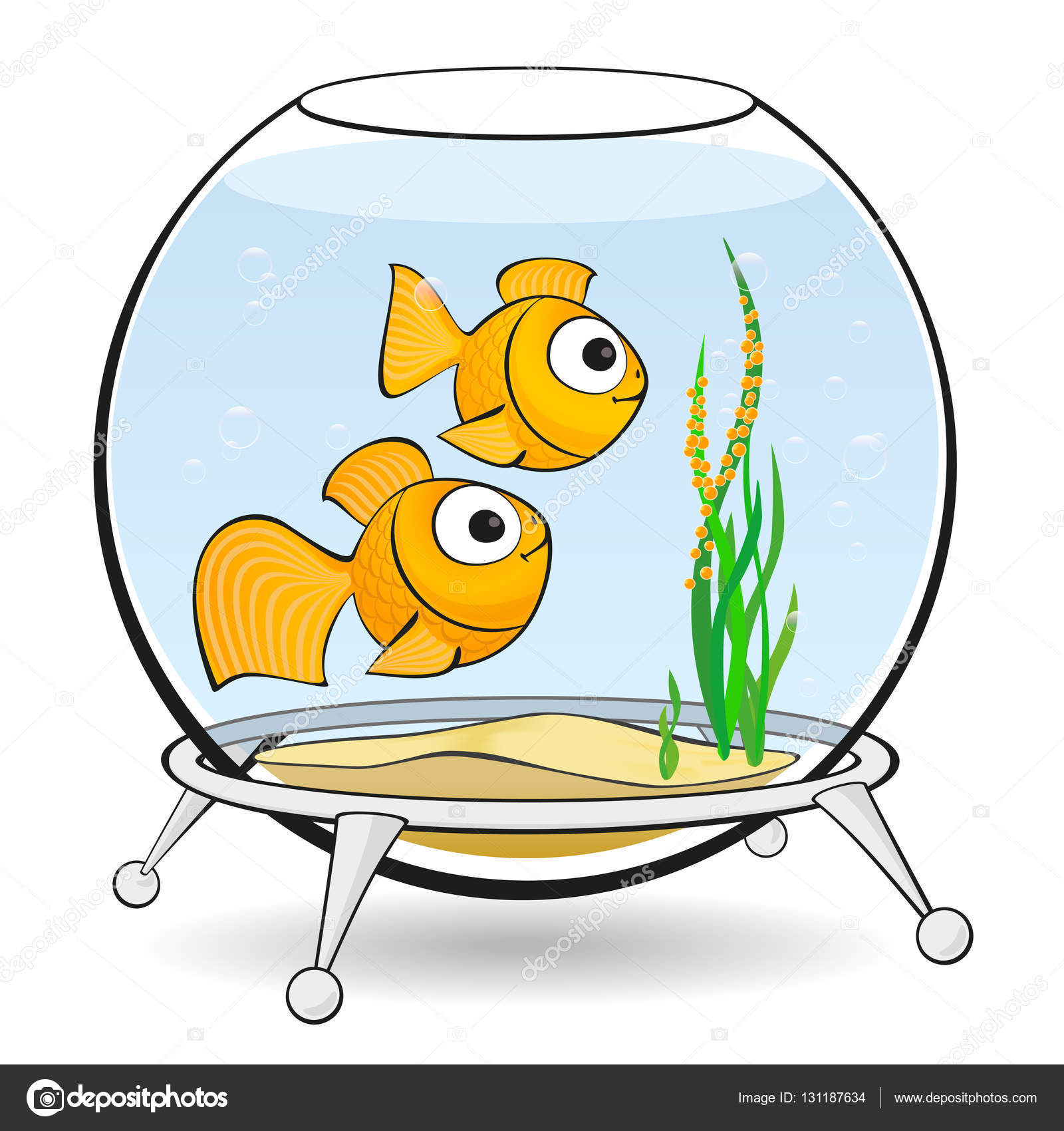 Acquario Per Pesci Rossi Pesci rossi di coppia in un acquario con caviale u2014 foto