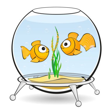 Çift goldfish bir akvaryum