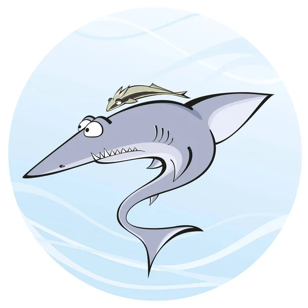 Shark whith remora — Stockfoto