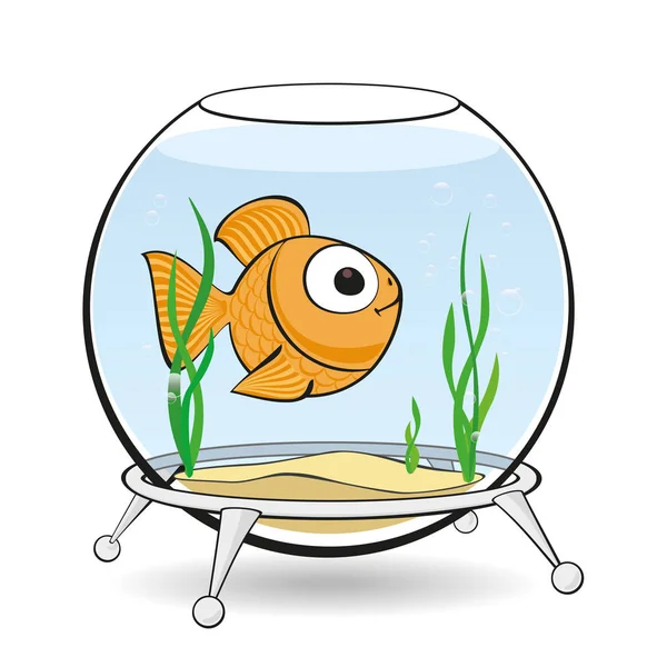 Gold fish in aquarium — Stock Photo, Image