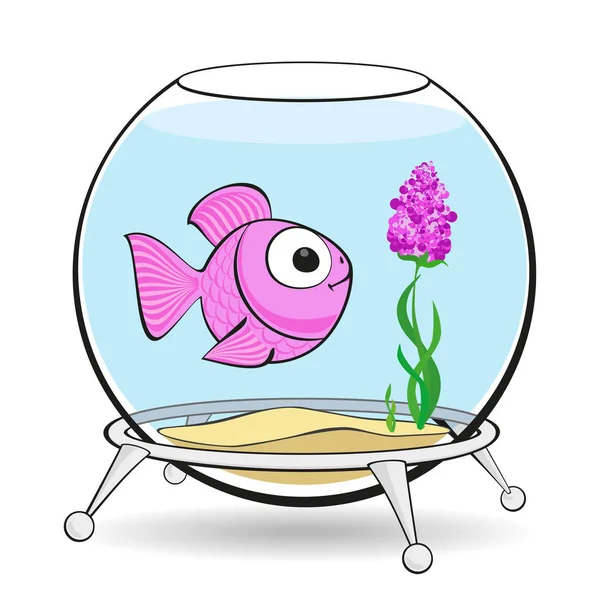 Pink fish in fishbowl — Stock Photo, Image