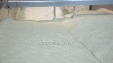 Endüstriyel ekmek hamur yoğurma
