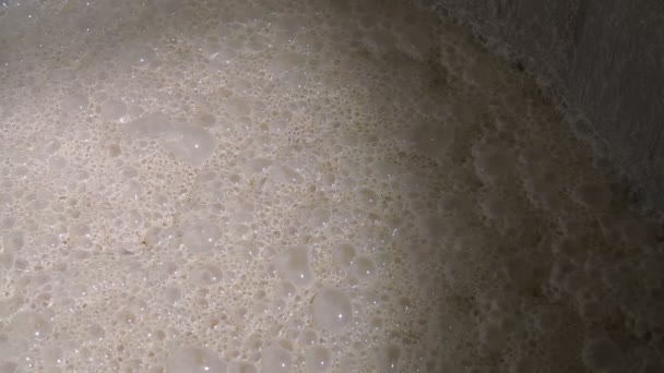 Fermentação do fermento de levedura close-up na fábrica — Vídeo de Stock