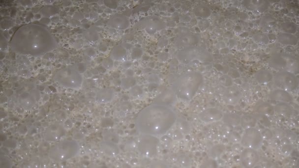 Fermentation du ferment de levure close-up en usine — Video