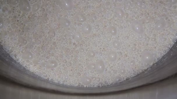 Fermentación del fermento de levadura en primer plano en fábrica — Vídeo de stock