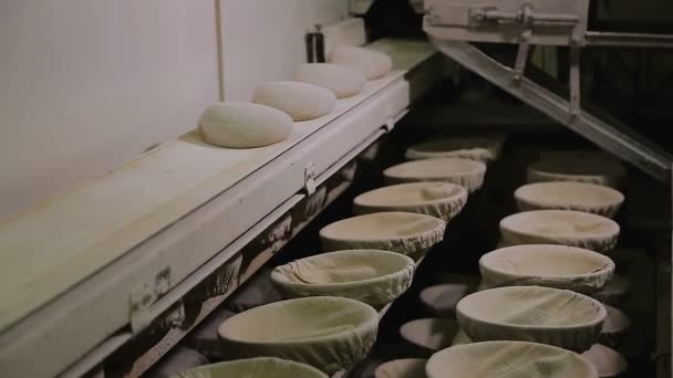 Transportador de fábrica de panadería con pan — Vídeos de Stock