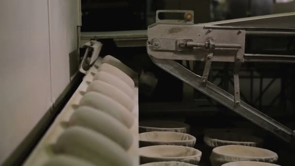 Automatisierte Produktion von Brot — Stockvideo