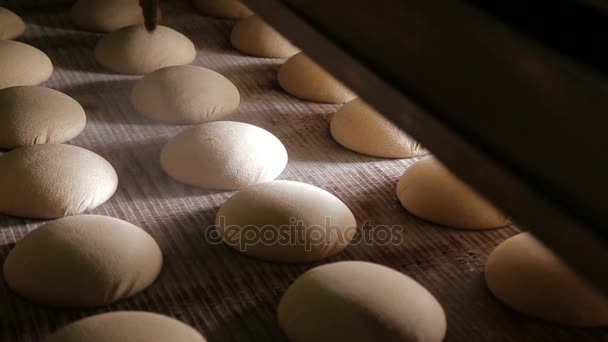 Maken van een brood van brood in de bakkerij — Stockvideo