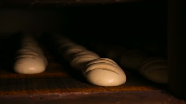 大面包的生面团是在传送带上 — 图库视频影像