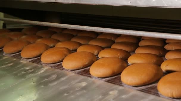 Warm gebakken brood bij de uitgang van de oven — Stockvideo