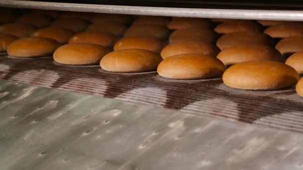 Warm gebakken brood bij de uitgang van de oven — Stockvideo