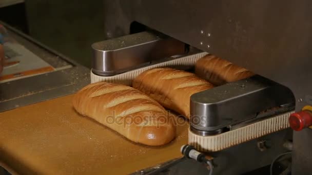 Cortar una barra de pan en trozos y empaquetar — Vídeos de Stock