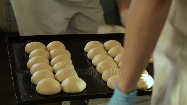 Пекари маслом булочки лежат на хлебопекарном листе — стоковое видео