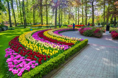 Renkli Lale Keukenhof Park, Hollanda